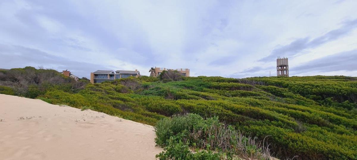 Jeffreys Bay 1 (19)