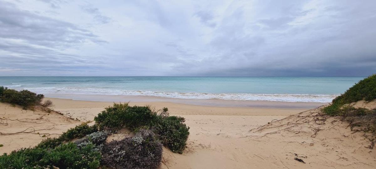 Jeffreys Bay 1 (26)